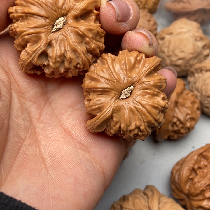 文玩核桃把件兵*式白狮子