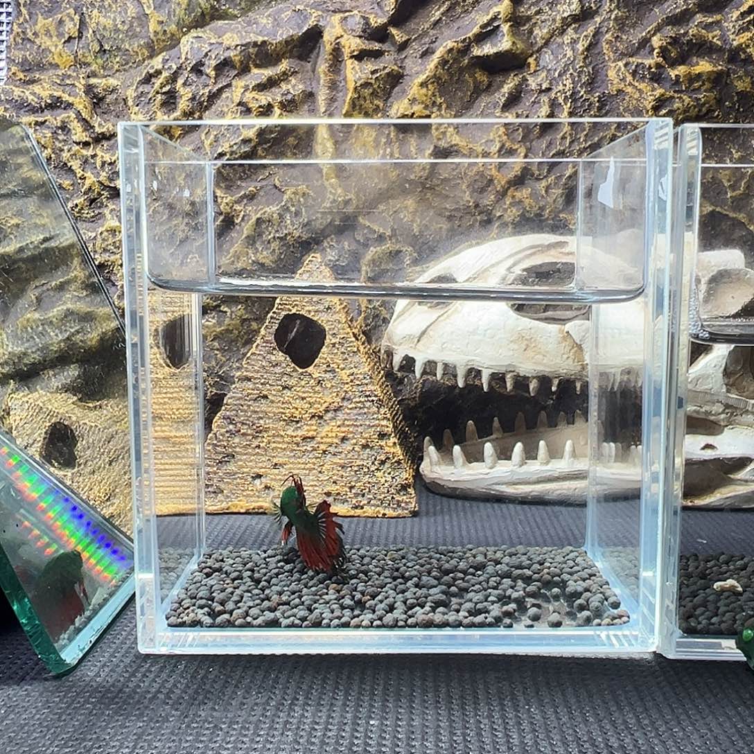 斗鱼精品精品精品精品精品精品