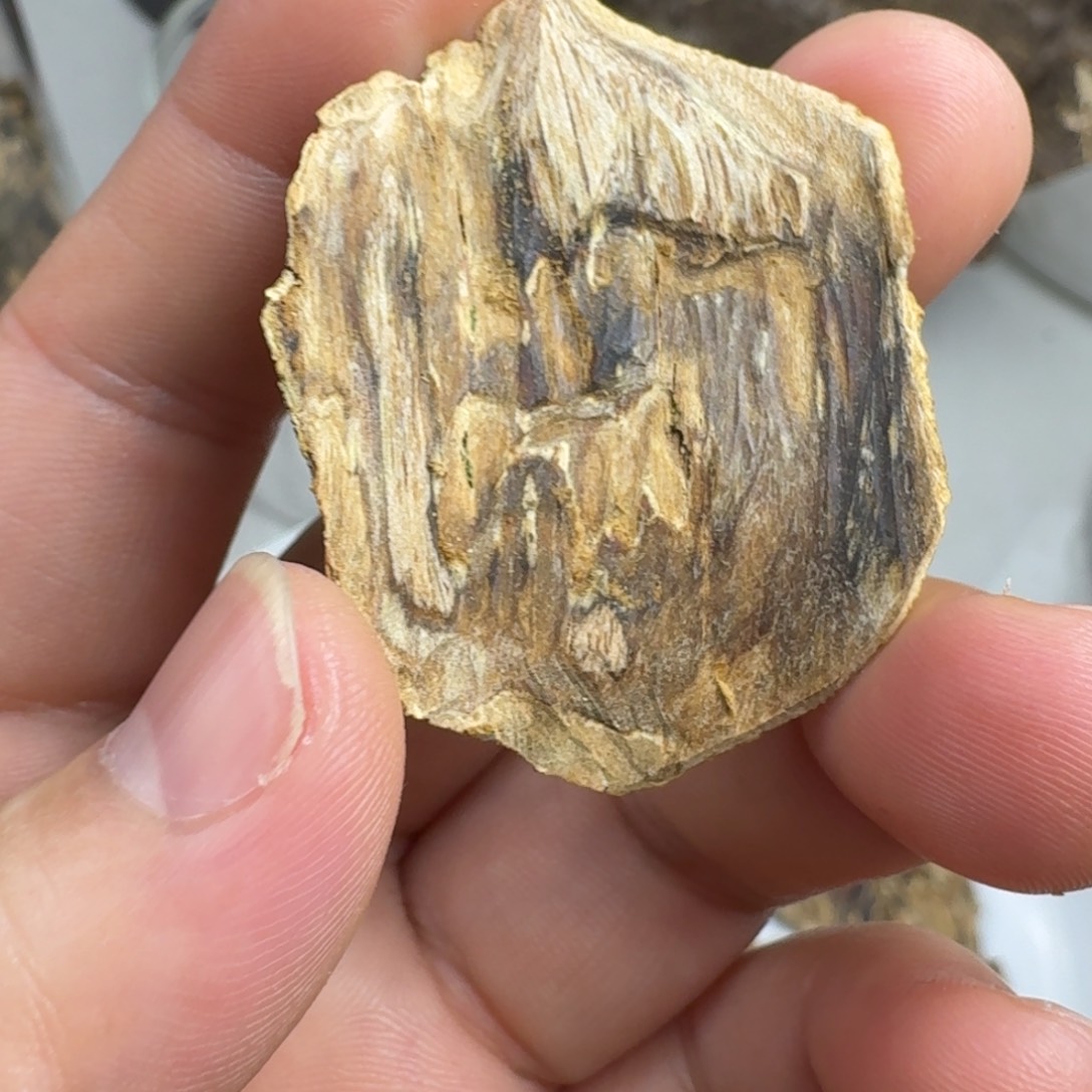 雷***沉香碎屑沉香海南虎斑棋