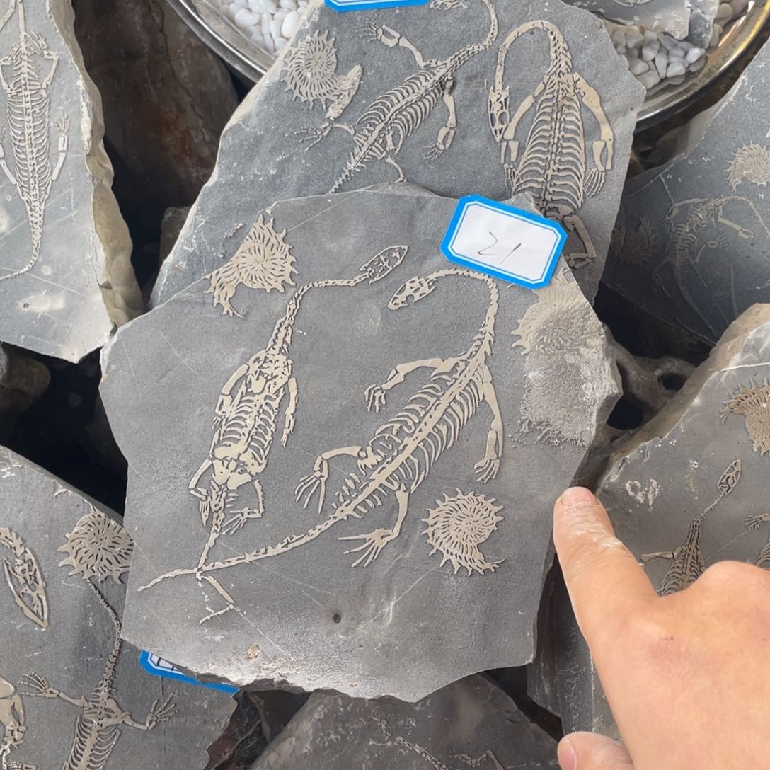 石材21111111111111111111