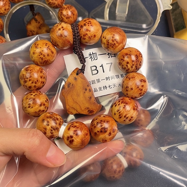 柏木（崖柏）其他现***人17