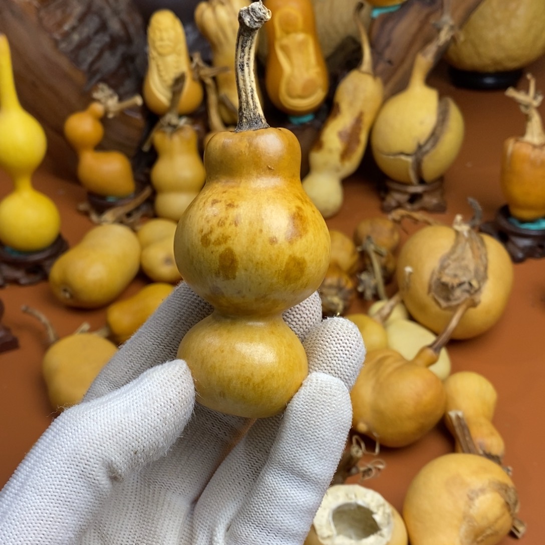 璞***緣教练路途教练咯教练咯