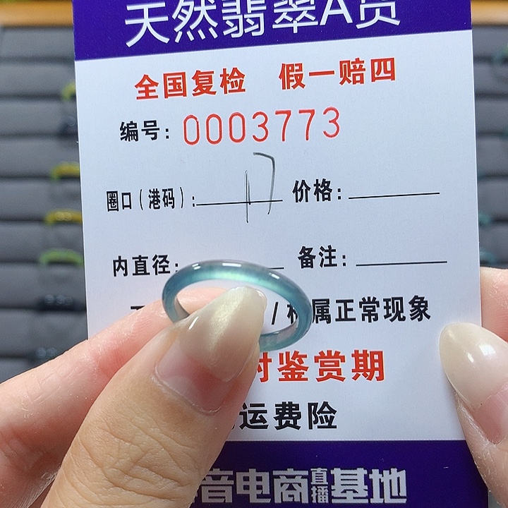 翡翠未镶嵌戒圈dp3772