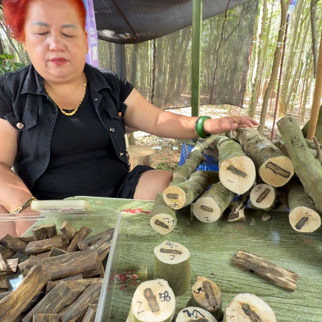 道***厂线香奇楠沉香原木