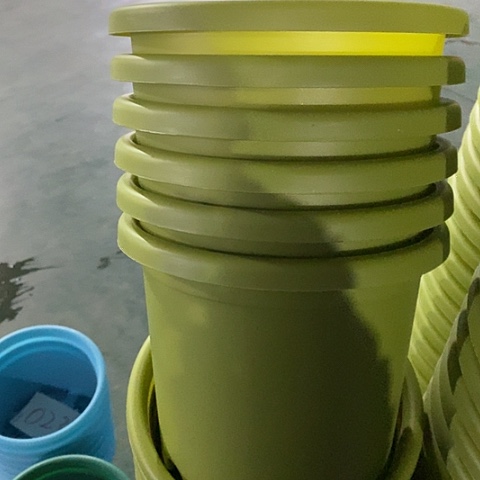 树脂四季3号果绿无托10个微瑕