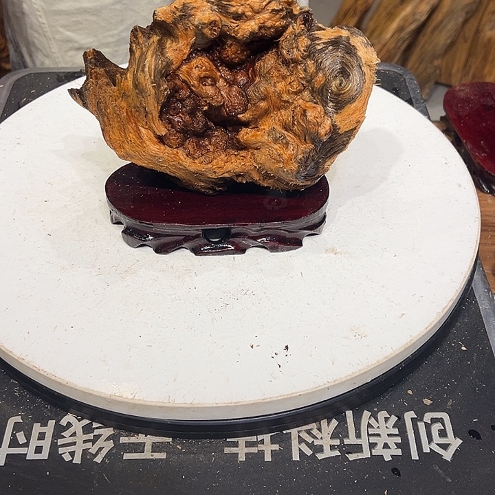 松木（琥珀木）用****2