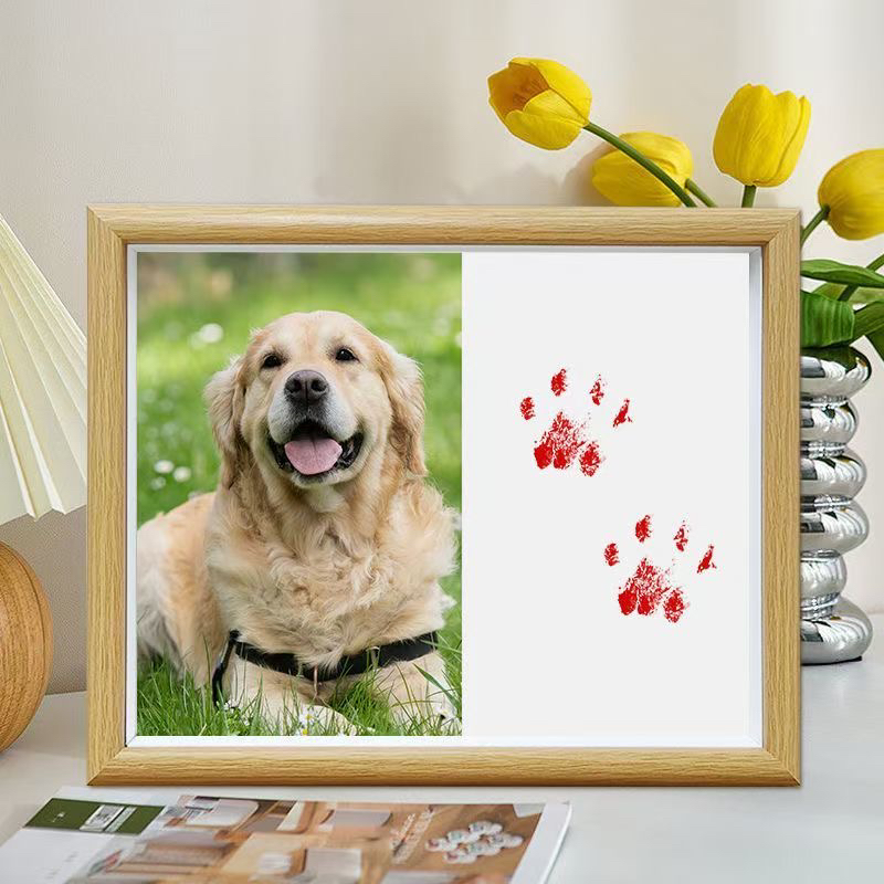 宠物爪印印泥dly拍前联系