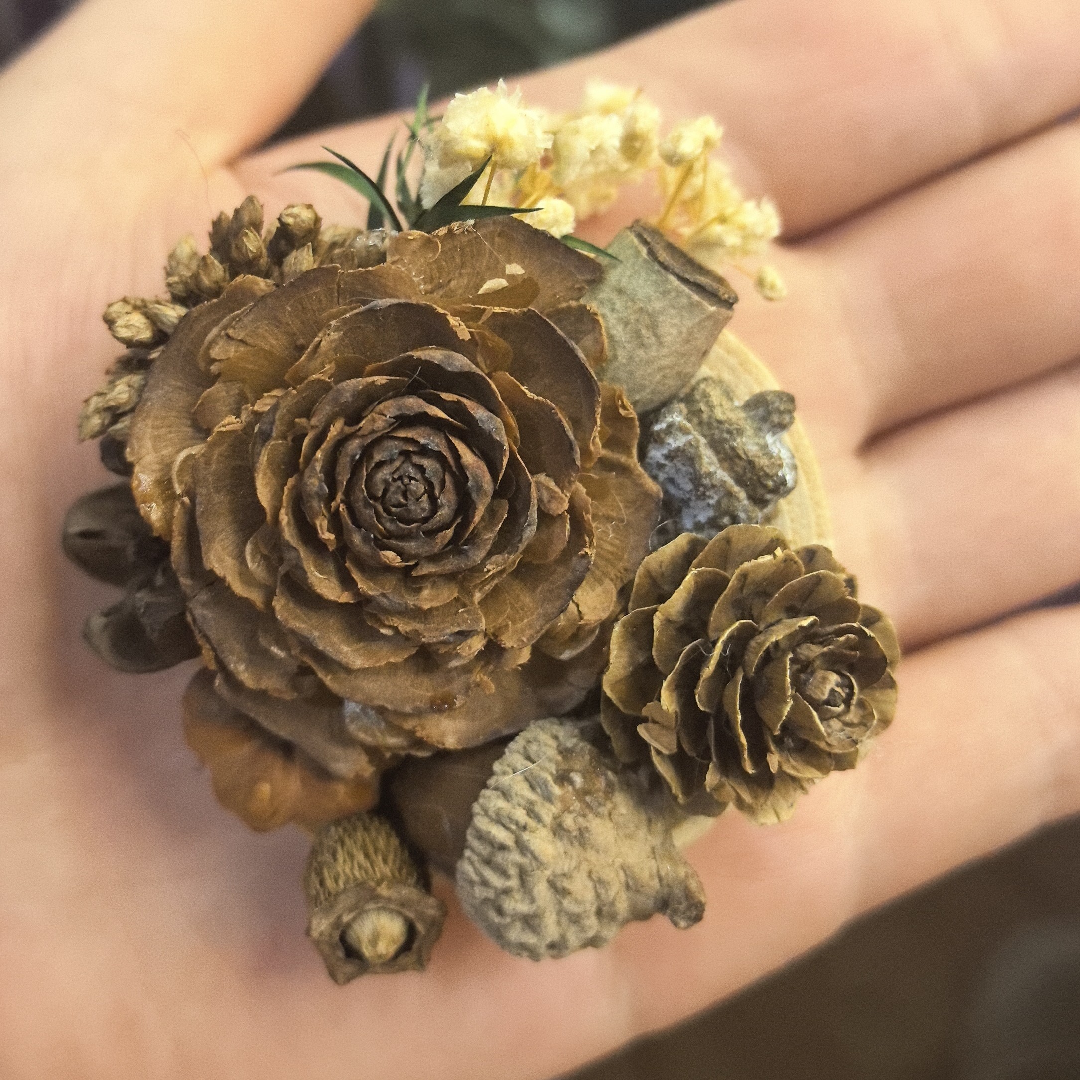 天然果壳果实DIY冰箱贴
