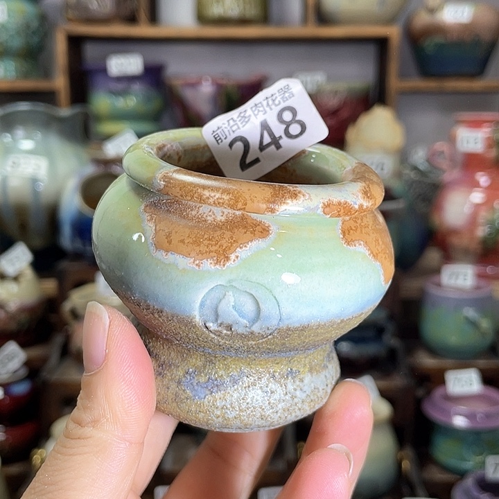 红陶内口径5高度7