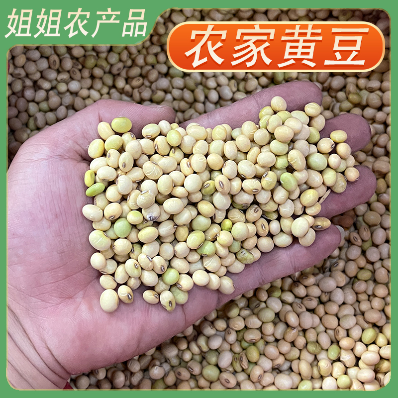 农家黄豆粤北自种黄豆打豆浆煲汤大豆高粱非转基因打豆浆专用黄豆