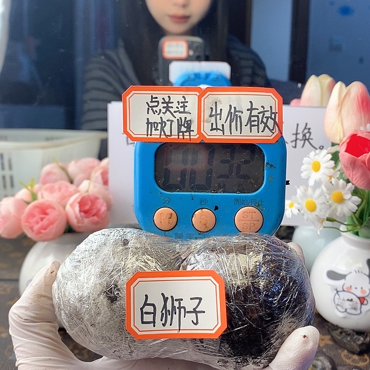 乘***浪核桃核桃核桃核桃