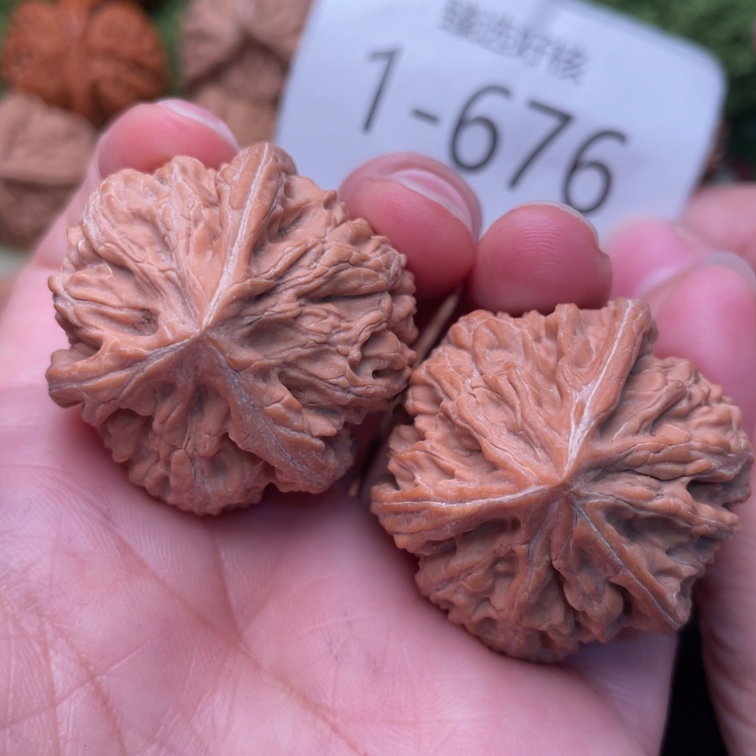 文玩核桃把件文山球奔37