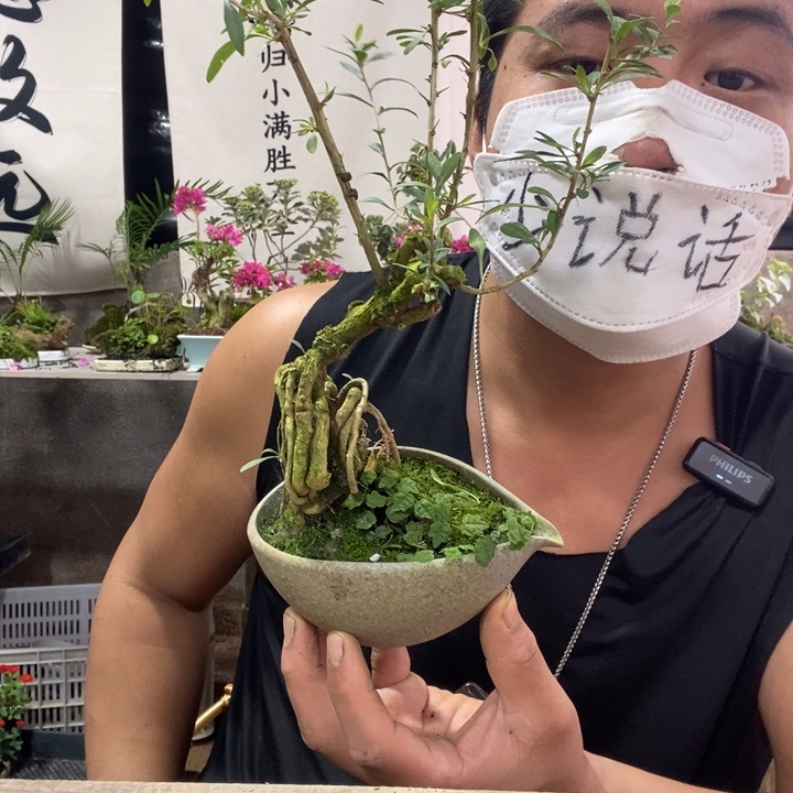 无花朵退款拉黑拉黑14