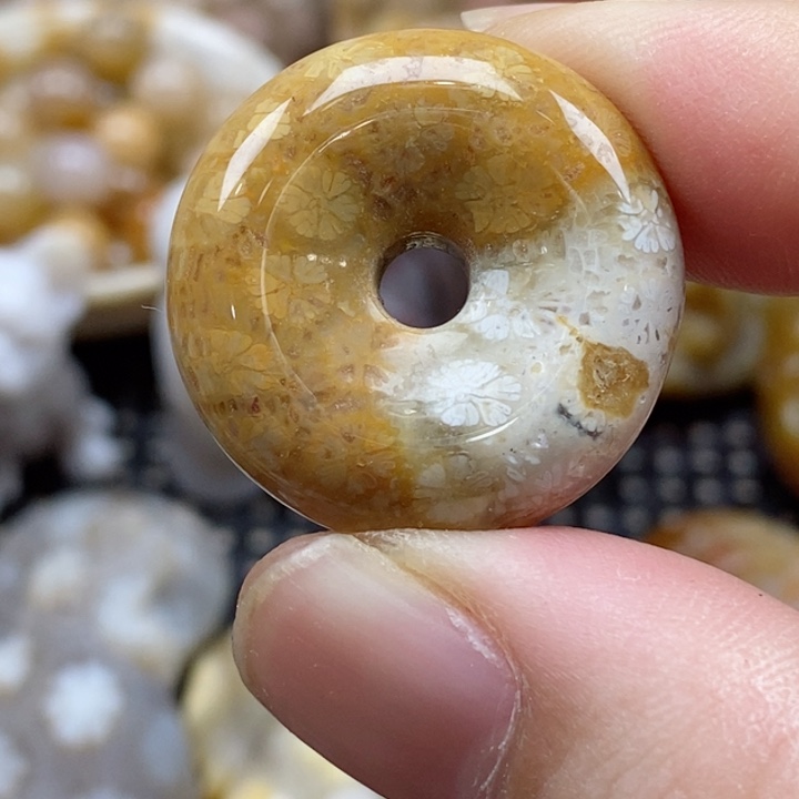 硅化珊瑚（珊瑚玉）颈饰未镶嵌小吊坠