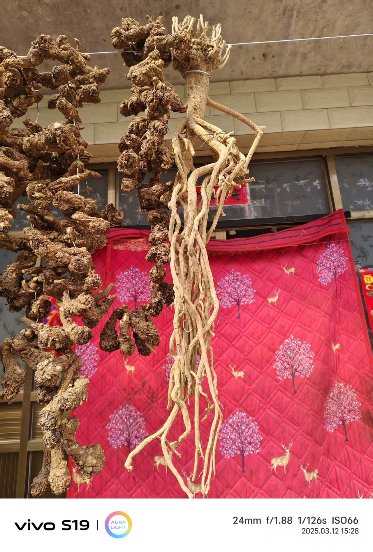 农户自家采挖产品一物一拍单独链接