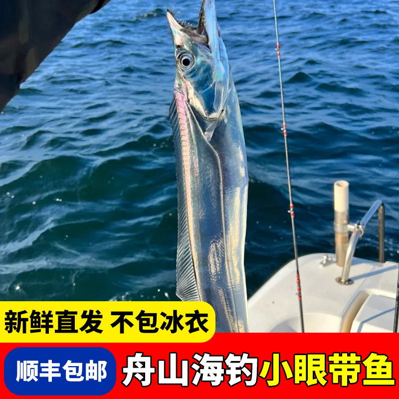 海钓带鱼 舟山小眼带鱼油带鱼 新鲜冷冻正宗整条东海带鱼刀鱼