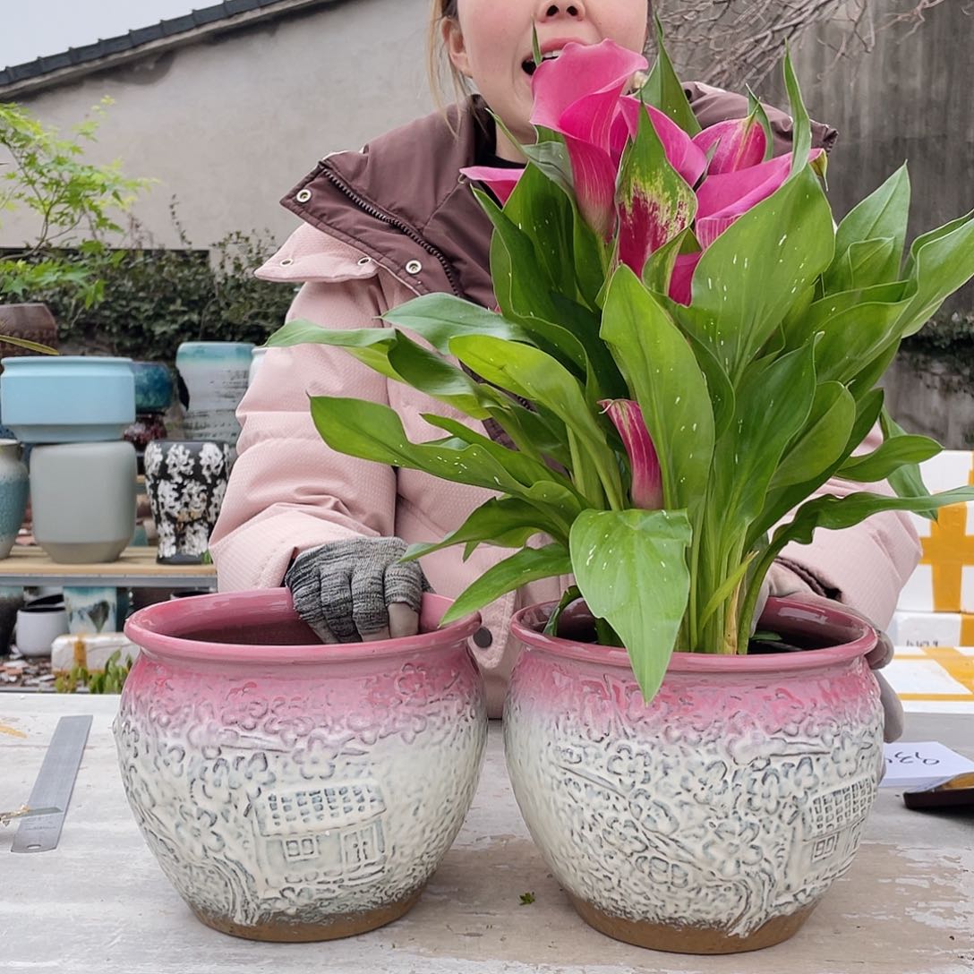 红陶王嫂花盆直播0310-908