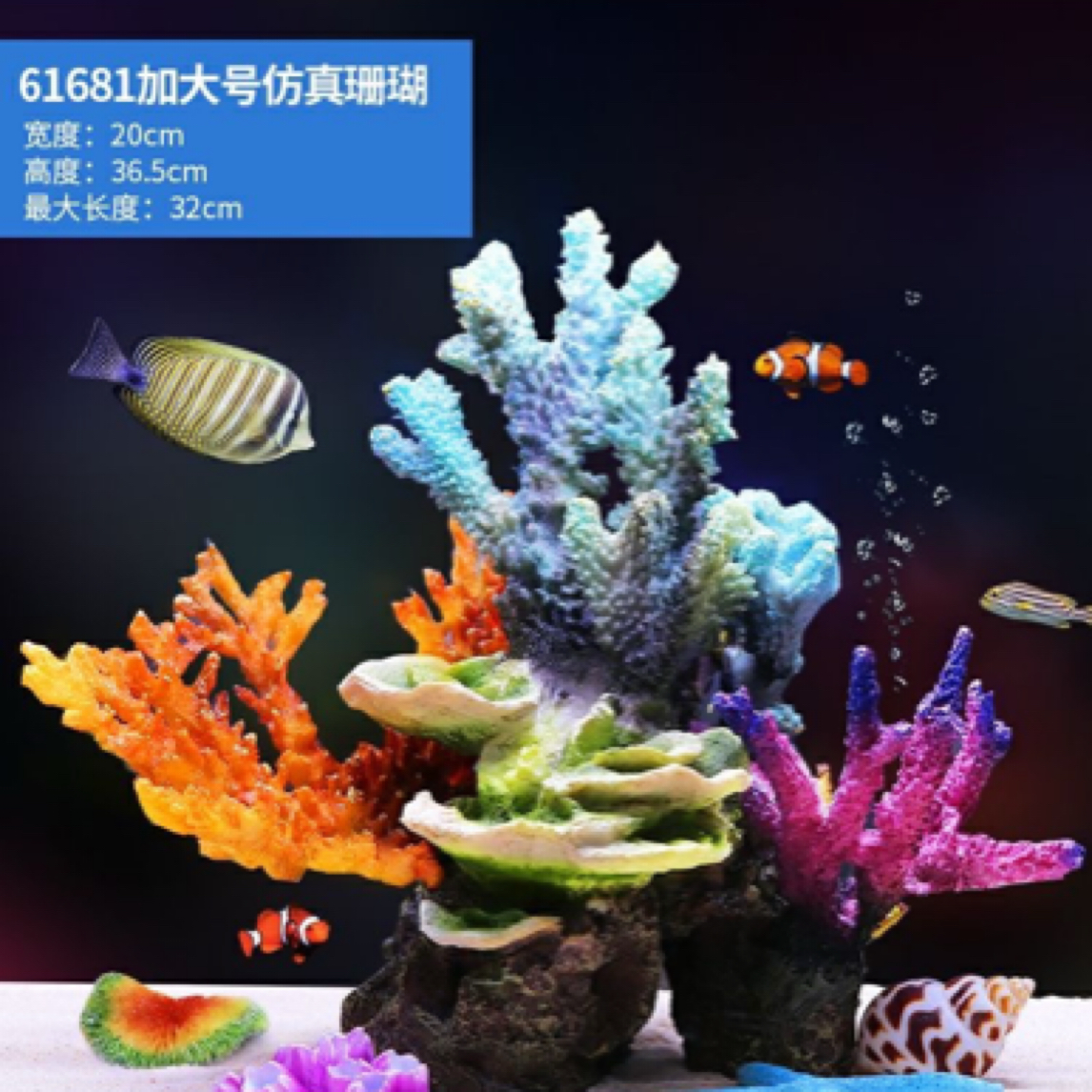 趣海海缸珊瑚造景一物一拍