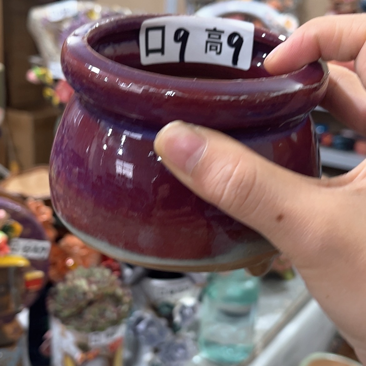 【闪购商品】红陶福利