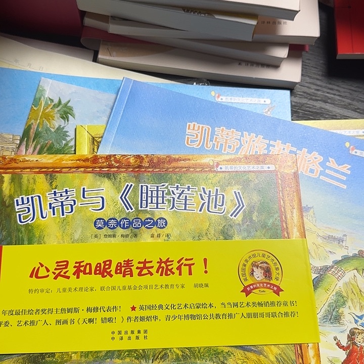 高溢价凯蒂艺术之旅5本