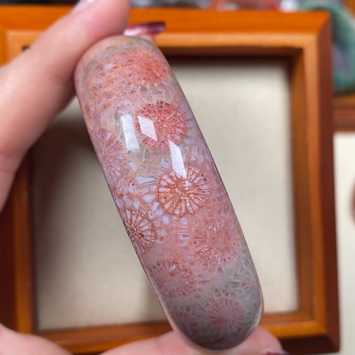 硅化珊瑚（珊瑚玉）手镯未镶嵌56.4编号3