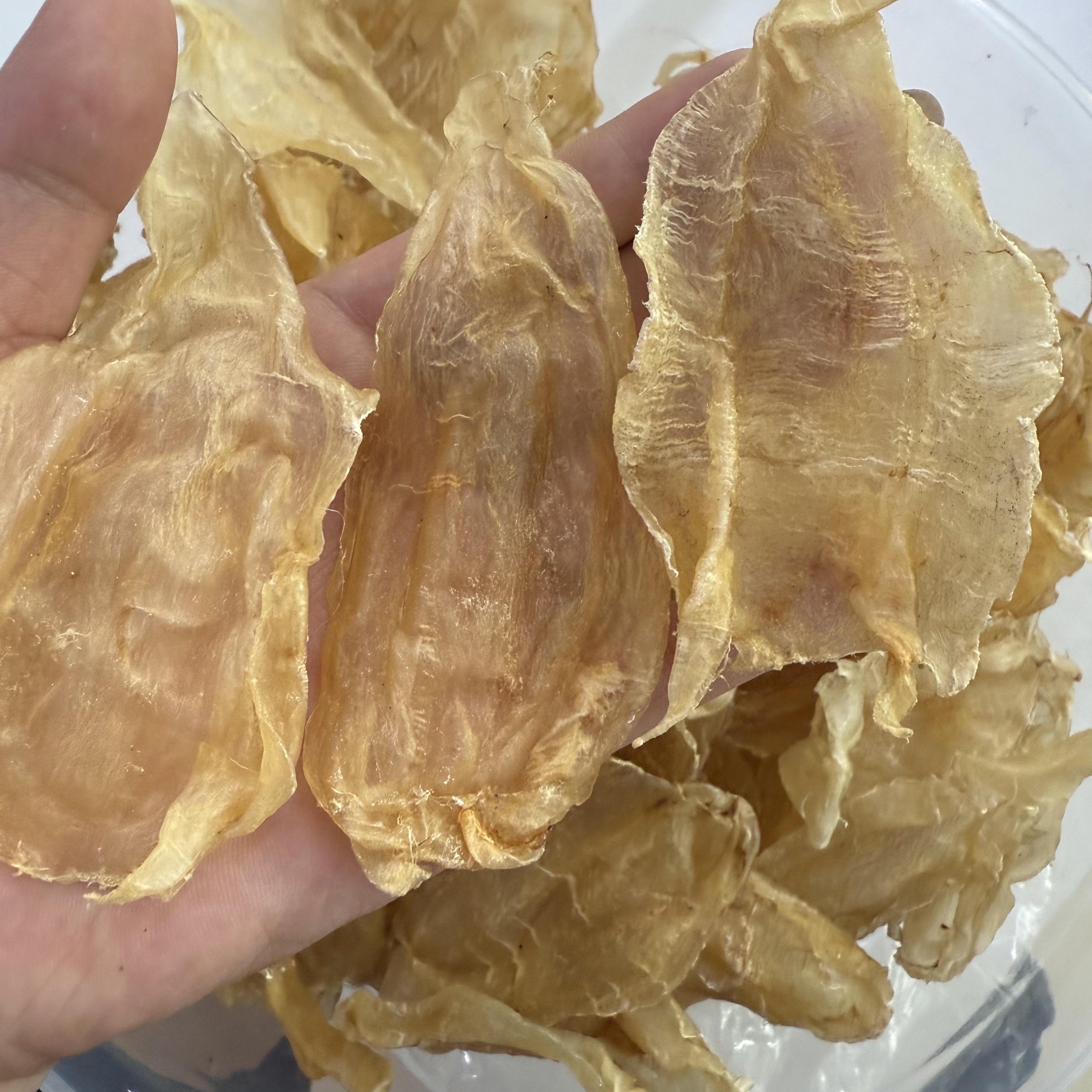 精选厚肉老胶北海公250克鱼胶