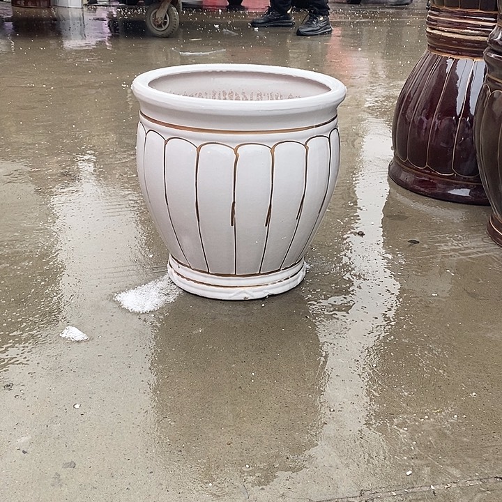 白南瓜大号口33高33福利