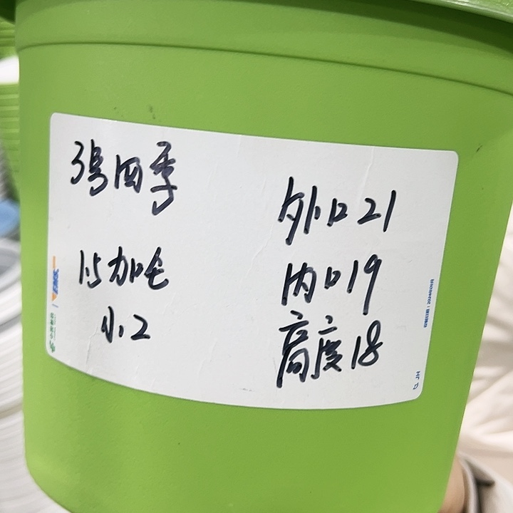 特价3号四季口21高18白色无托10个