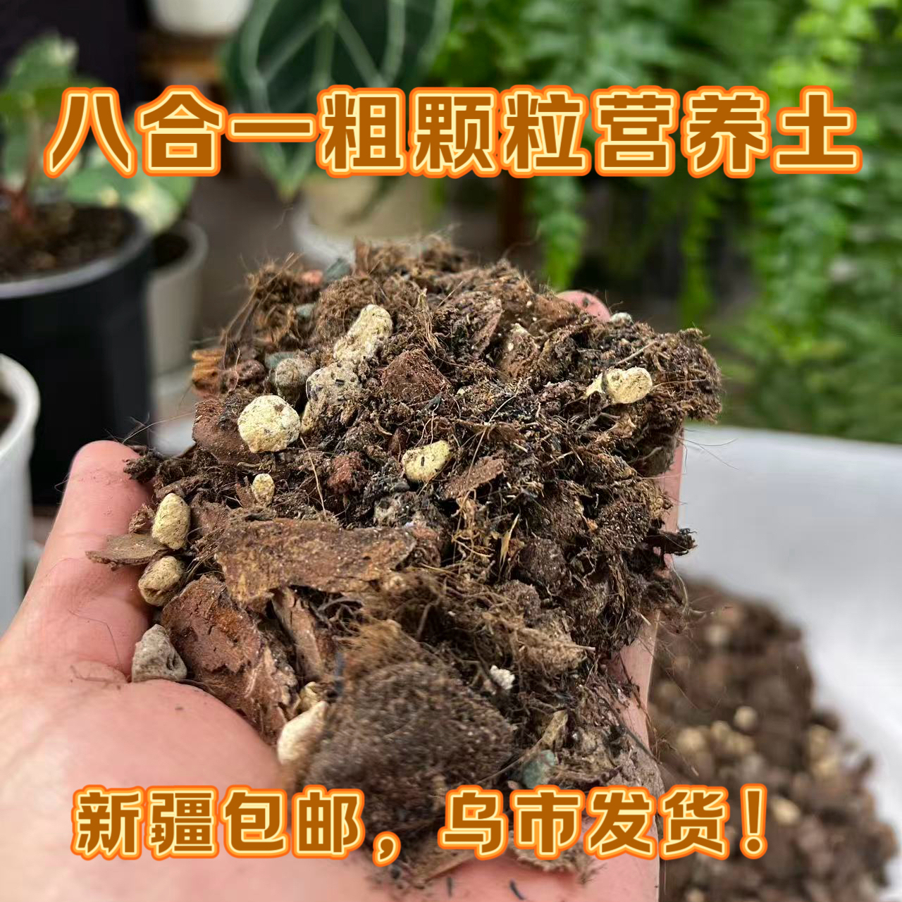 新疆包邮疏松透气鸭脚木专用土天南星科植物营养土