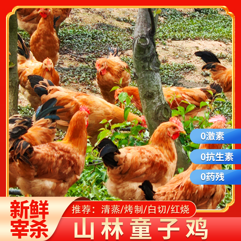 【2只童子鸡】 单只1.6斤谷物喂养 新鲜直达 顺丰到家