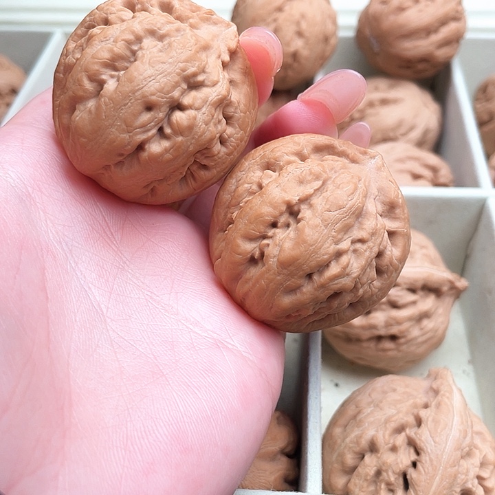 舍***得霸王龙核桃尺寸40