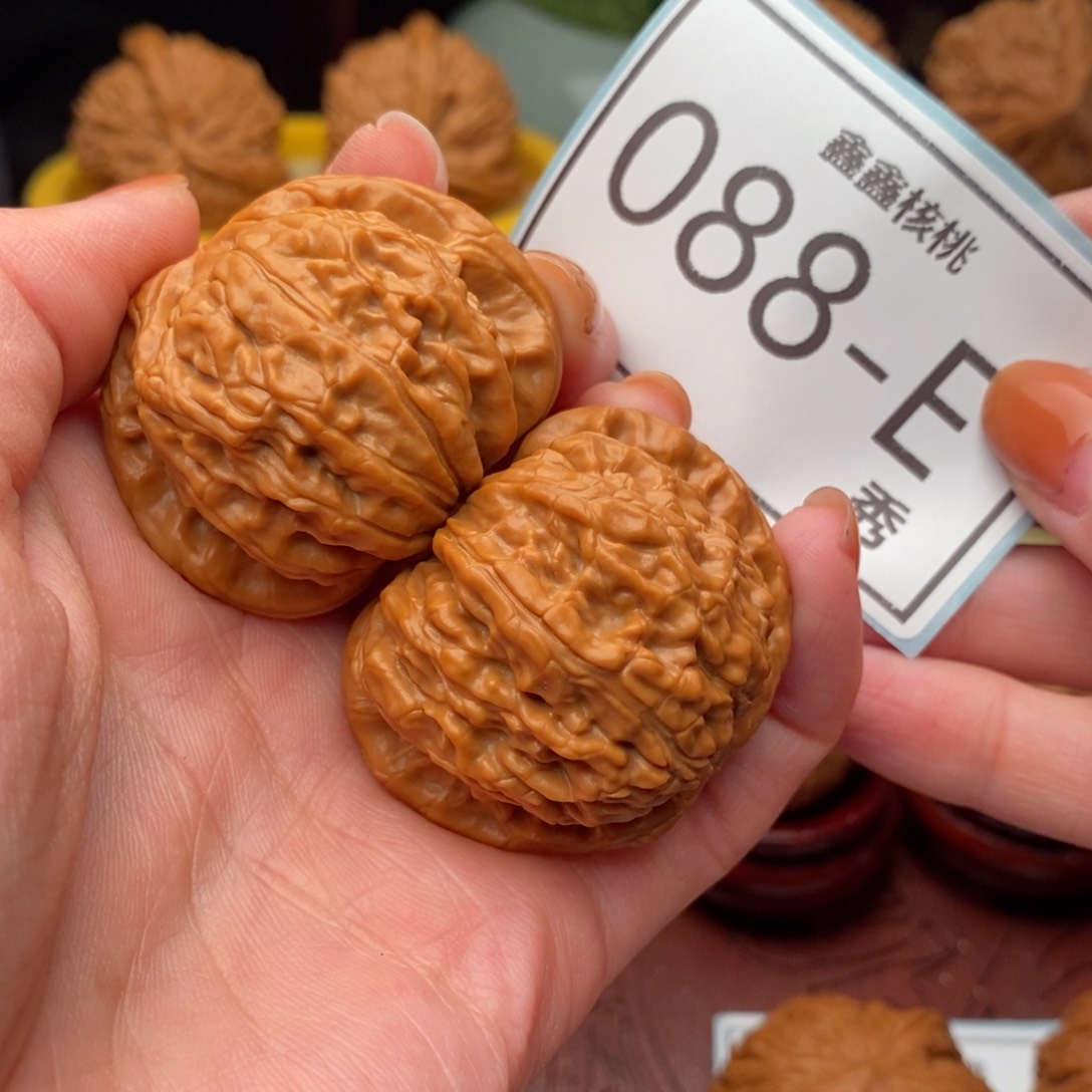 文玩核桃把件白狮41