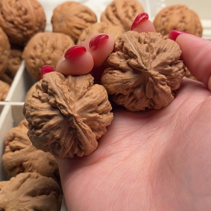 解***呼把件文玩核桃霸王龙