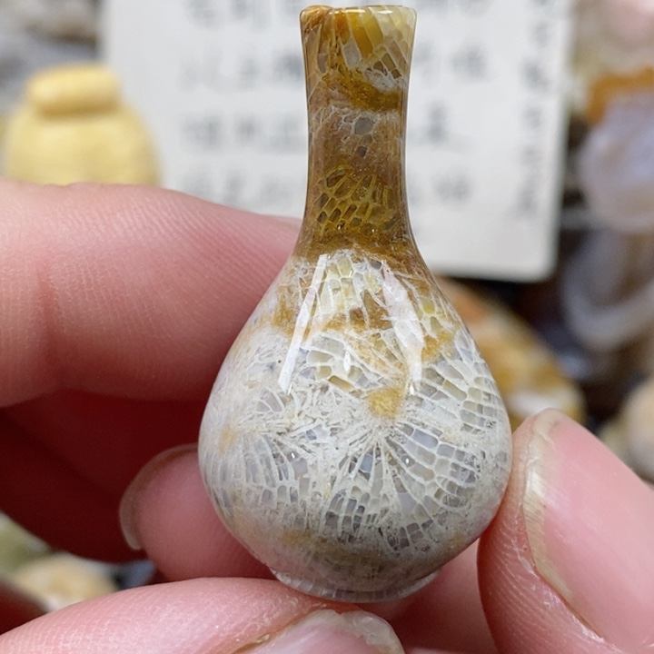 颈饰未镶嵌硅化珊瑚（珊瑚玉）