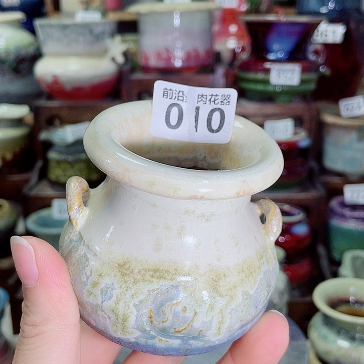 狼盆内口径5高度6