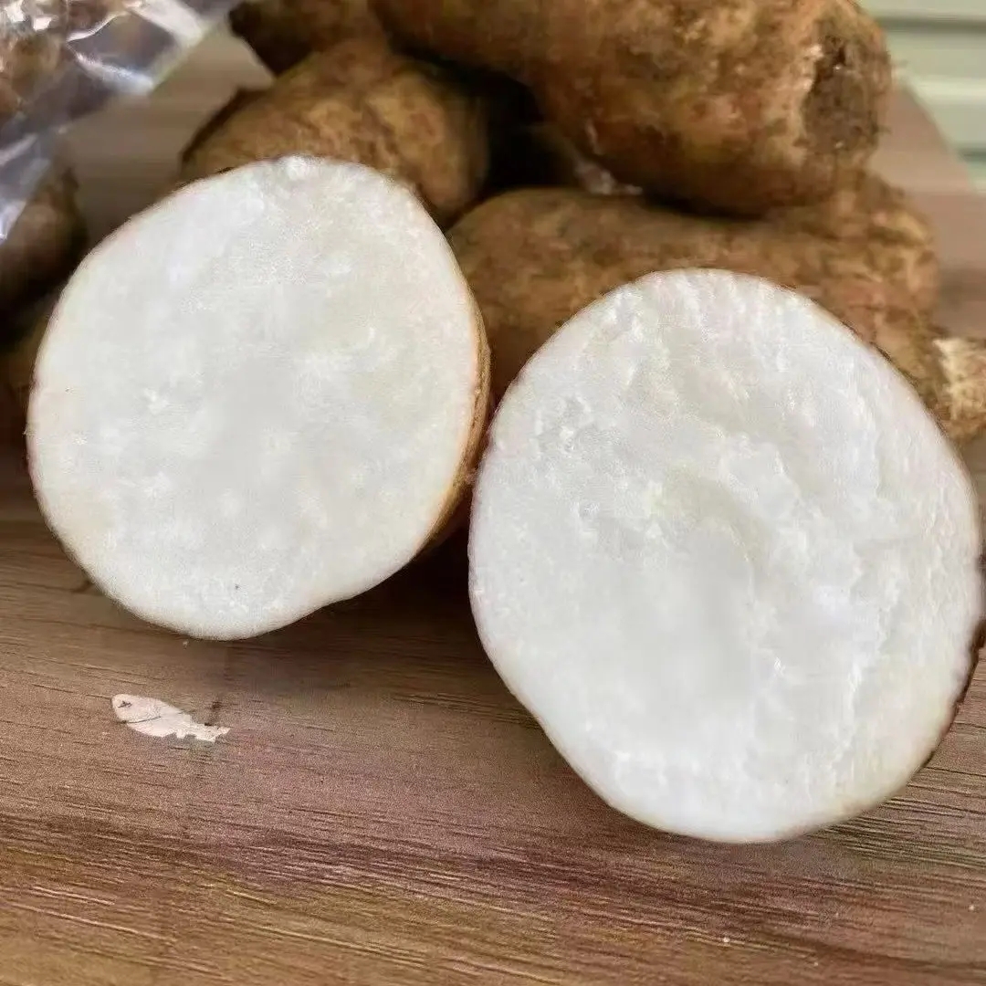 云南新鲜天麻现挖现发产地直发特大果三个一斤。可炖汤炖鸡炖排骨。