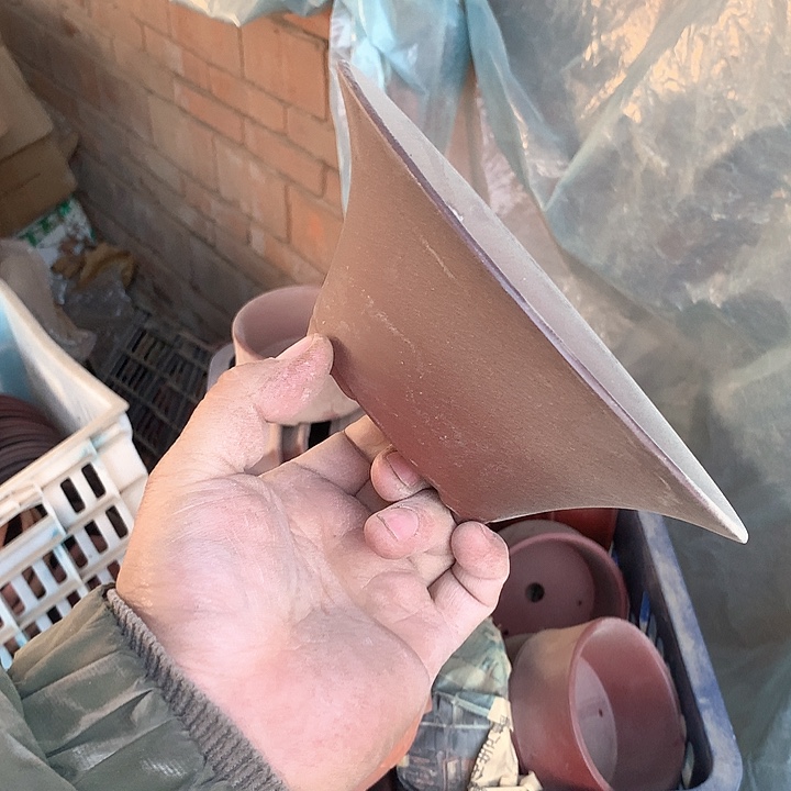 紫砂我要不就是你去看看他