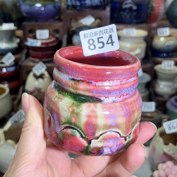 红陶内口径5高度7