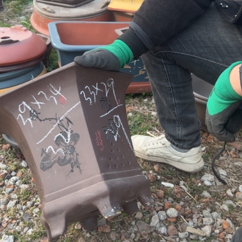 红陶紫砂花盆盆景盆栽