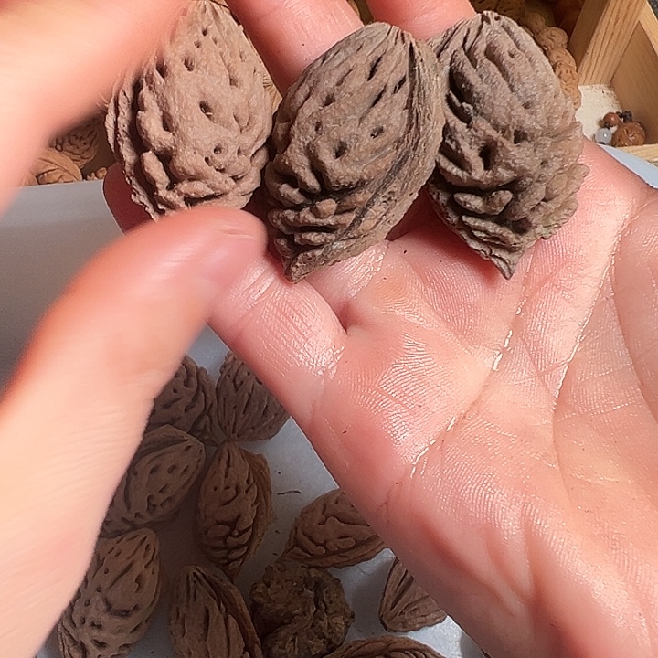 枫***1桃核手串正宗桃枭单核