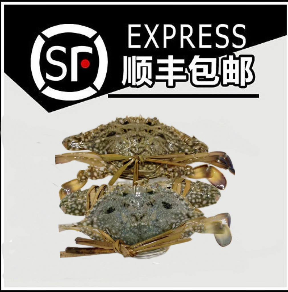 【兰花脐套餐】惠来本港杂鱼套餐原产地顺丰冷链包邮送礼佳品