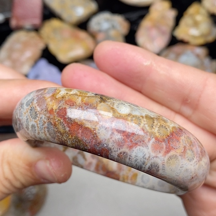 硅化珊瑚（珊瑚玉）手镯未镶嵌52