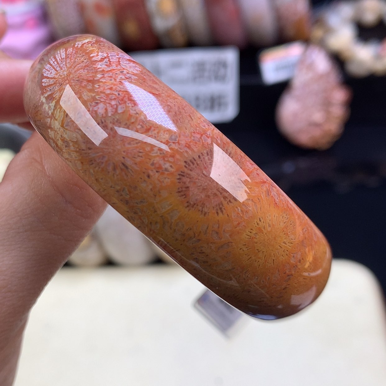 【闪购商品】颈饰未镶嵌硅化珊瑚（珊瑚玉）6号精美手镯54.5圈