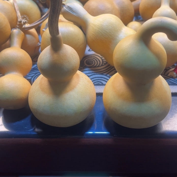 葫芦葫芦葫芦葫芦葫芦