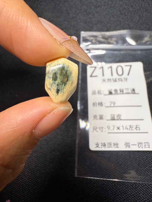 Z1107天然猛犸牙蓝皮鲨鱼背三通配饰