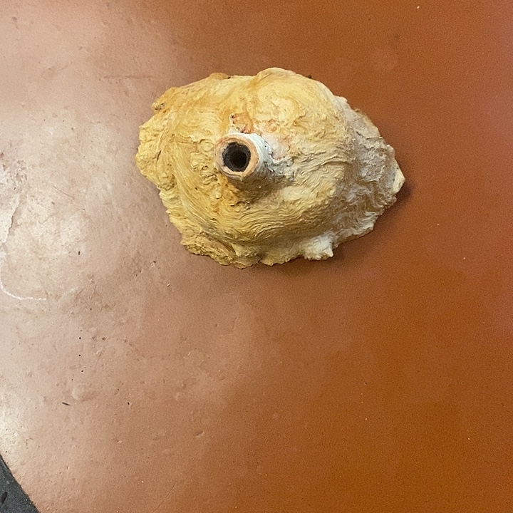大***1荔枝木荔枝木香炉