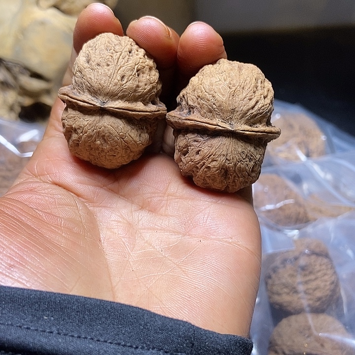 把件文玩核桃云南铁核桃基地25