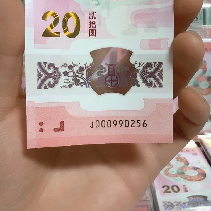 塑料小蛇钞号码000990256