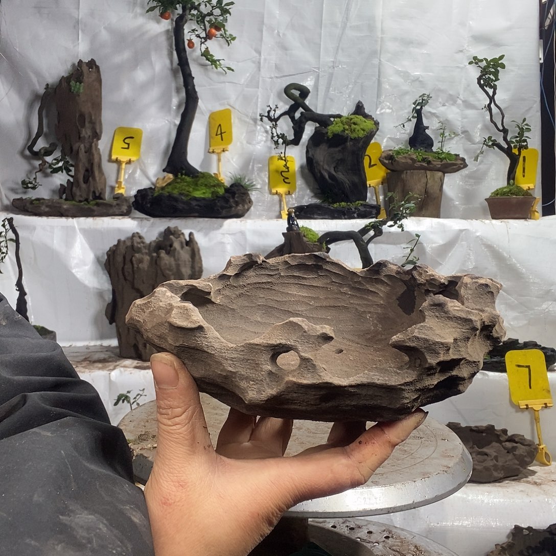 盆景花盆123445689