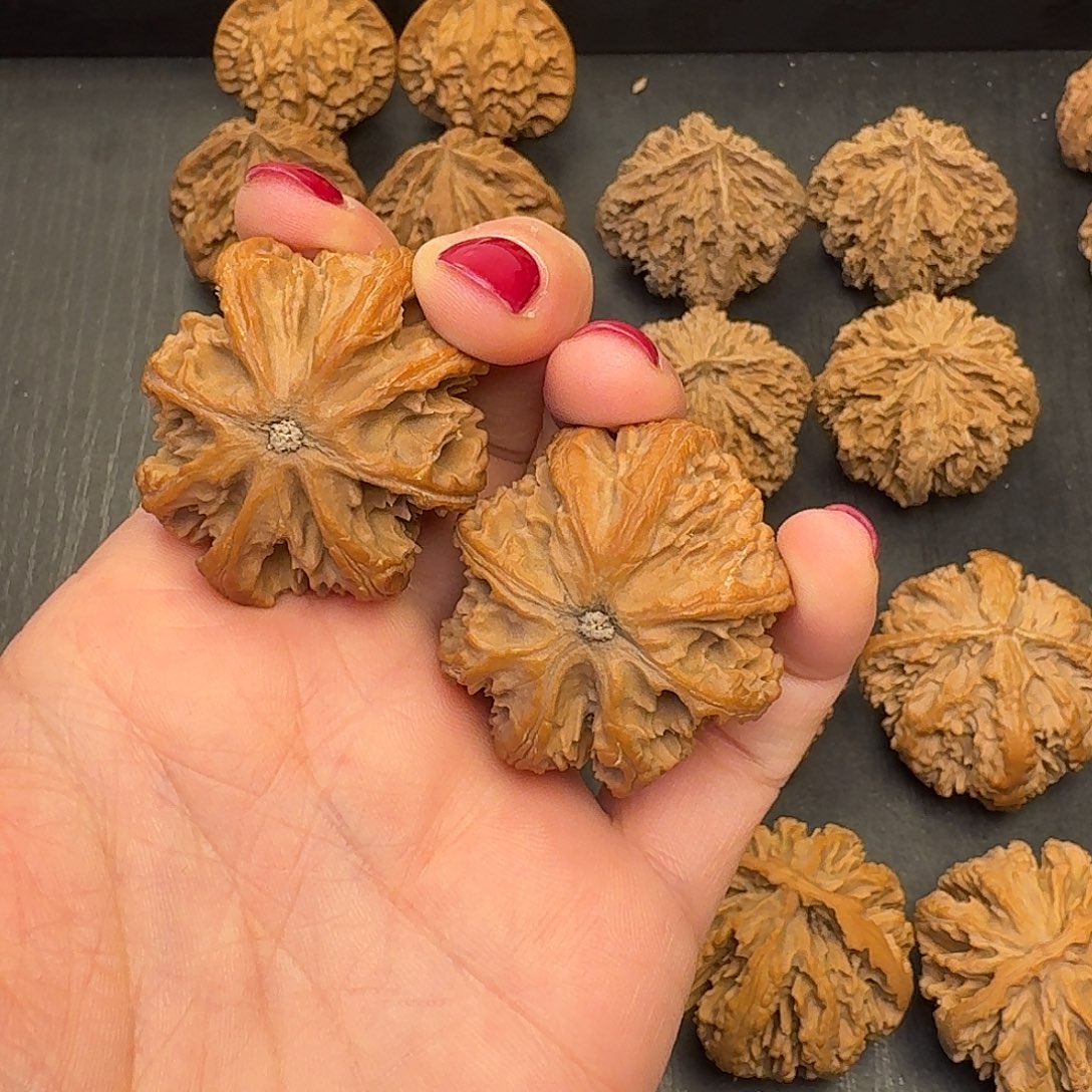 ****郎核桃突突突突突突